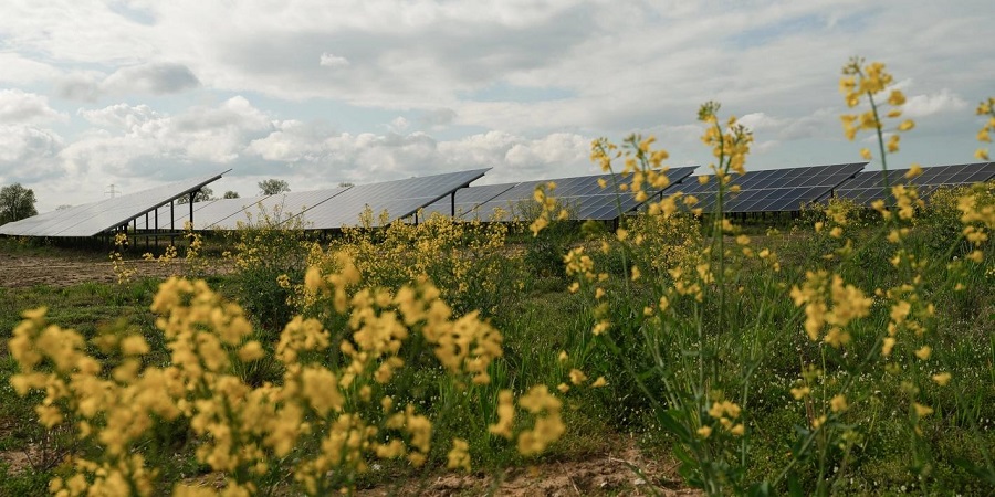 Equinor expands renewables portfolio in Poland with a new solar plant