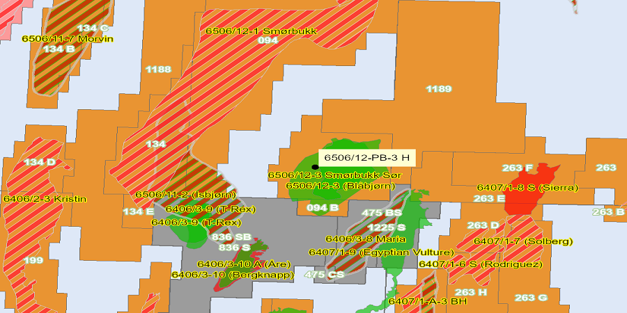 Oil and gas condensate discovery in the Norwegian Sea (6506/12-PB-3 H)