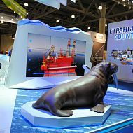 Участники, 21 Мировой нефтяной конгресс (21 WPC), Москва    