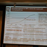 Попутный нефтяной газ 2013, Москва, Отель «Балчуг Кемпински Москва» 26.03.2013